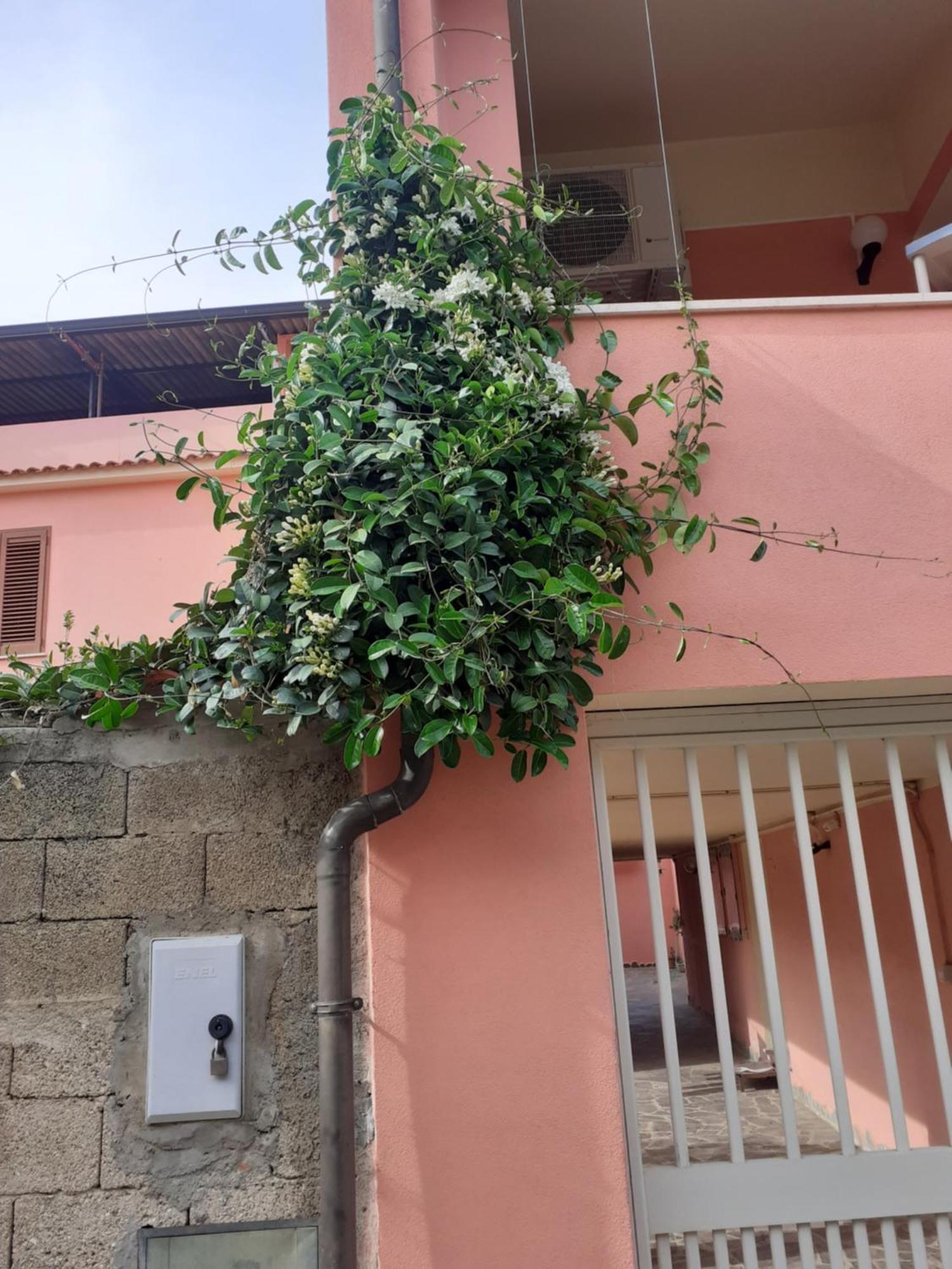 לינה וארוחת בוקר גוספיני L'Agrifoglio Di Emy מראה חיצוני תמונה